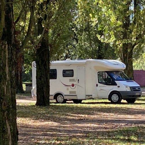 Pause repas au ‎⁨Zoo Touroparc⁩ de ⁨Romanèche-Thorins⁩ en Bourgogne